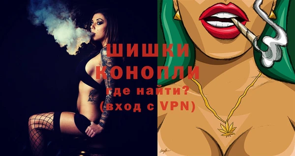 гидра Волоколамск