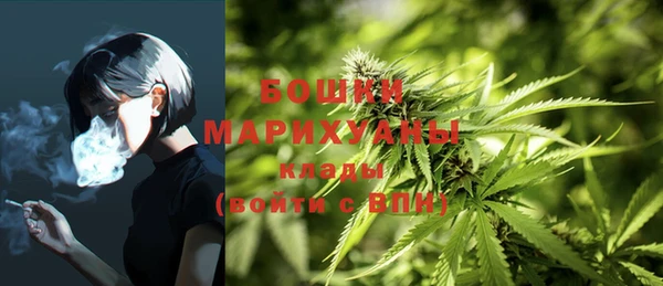 гидра Волоколамск